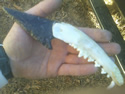primitive knife picture